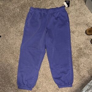 GAP Women's Purple Jogger Pants